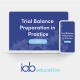 Trial balance preparation in practice