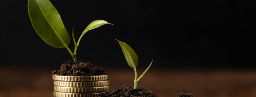 Cipp employer bulletin